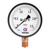 Купить Манометр VALTEC TM-310P с нижним подключением TM-310P.0204 (tm-310p.0204) по цене 572 руб., в Санкт-Петебруге в интернет магазине 100-Систем, а также дургие товары VALTEC из раздела Манометры и Контрольно-измерительные приборы