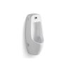 Купить CeramaLux Х546P Писсуар (х546p) по цене 45140.55 руб., в Санкт-Петебруге в интернет магазине 100-Систем, а также дургие товары CeramaLux из раздела Писсуары и Биде и писсуары