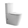 Купить CeramaLux NS 2178 Унитаз напольный (ns-2178) по цене 30257.5 руб., в Санкт-Петебруге в интернет магазине 100-Систем, а также дургие товары CeramaLux из раздела Горизонтальный выпуск и Унитазы-компакт с бачком