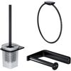 Купить AK50T1103B Inspire V2.0 набор аксессуаров для зоны туалета, черный (ak50t1103b) по цене 24490 руб., в Санкт-Петебруге в интернет магазине 100-Систем, а также дургие товары AM.PM из раздела Комбинированные стойки держатели и Аксессуары для ванной комнаты