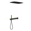 Купить Душевая система Timo Saona SX-2319/03SM скрытого монтажа с термостатом, черный матовый (sx-2319/03sm) по цене 213717 руб., в Санкт-Петебруге в интернет магазине 100-Систем, а также дургие товары TIMO из раздела Душевые комплекты встраиваемого монтажа и Душевые комплекты встраиваемого монтажа