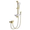 Купить Смеситель для душа с гарнитуром WONZON & WOGHAND, Брашированное золото (WW-A31003-BG) (ww-a31003-bg) по цене 21633 руб., в Санкт-Петебруге в интернет магазине 100-Систем, а также дургие товары WONZON & WOGHAND из раздела Смесители для душа без излива и Смесители для ванны и душа