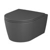 Купить C8F1700MBSC Func подвесной унитаз 49 см FlashClean с сиденьем микролифт, черн мат (c8f1700mbsc) по цене 36990 руб., в Санкт-Петебруге в интернет магазине 100-Систем, а также дургие товары AM.PM из раздела Унитазы подвесные и Унитазы