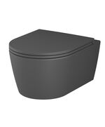 Купить C8F1700MBSC Func подвесной унитаз 49 см FlashClean с сиденьем микролифт, черн мат (c8f1700mbsc) по цене 51790 руб., в Санкт-Петебруге в интернет магазине 100-Систем, а также дургие товары AM.PM из раздела Унитазы подвесные и Унитазы