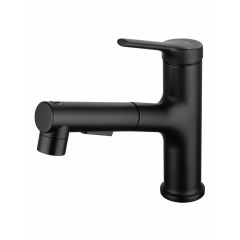 Купить Смеситель для раковины с выдвижным изливом WONZON & WOGHAND, Черный матовый (WW-A40862-MB) (ww-a40862-mb) по цене 9396 руб., в Санкт-Петебруге в интернет магазине 100-Систем, а также дургие товары WONZON & WOGHAND из раздела Рычажные смесители и Смесители для раковины