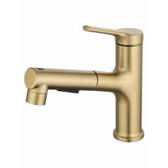 Купить Смеситель для раковины с выдвижным изливом WONZON & WOGHAND, Брашированное золото (WW-A40862-BG) (ww-a40862-bg) по цене 12733 руб., в Санкт-Петебруге в интернет магазине 100-Систем, а также дургие товары WONZON & WOGHAND из раздела Рычажные смесители и Смесители для раковины