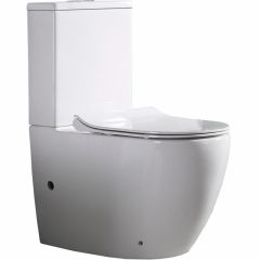 Купить CeramaLux NS 2176 Унитаз напольный (ns-2176) по цене 21500 руб., в Санкт-Петебруге в интернет магазине 100-Систем, а также дургие товары CeramaLux из раздела Горизонтальный выпуск и Унитазы-компакт с бачком