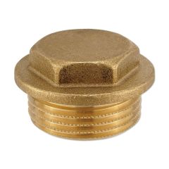 Купить Заглушка 1"Н (латунь) O-ring (1950002) по цене 291 руб., в Санкт-Петебруге в интернет магазине 100-Систем, а также дургие товары  из раздела Заглушки и Латунные фитинги