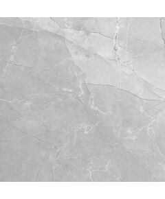 Купить Керамогранитная плитка LCM полированная 6060AMB15P Armani Marble Gray , 600*600*8 (4 шт в уп/54.72  м в пал) (6060amb15p) по цене 2390 руб., в Санкт-Петебруге в интернет магазине 100-Систем, а также дургие товары LCM из раздела Керамогранит и Напольные покрытия