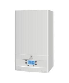 Купить Настенный газовый котел Electrolux GB 24 Basic Space S Fi (gbs-sp24fi) по цене 34100 руб., в Санкт-Петебруге в интернет магазине 100-Систем, а также дургие товары  из раздела Успей купить и 