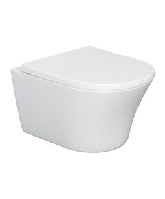 Купить DX35C1700SC Skyline унитаз подвесной безободковый с сиденьем микролифт (dx35c1700sc) по цене 41990 руб., в Санкт-Петебруге в интернет магазине 100-Систем, а также дургие товары DAMIXA из раздела Унитазы подвесные и Унитазы