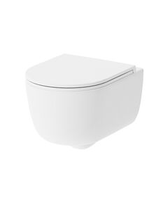 Купить DX86C1800SC Sirius подвесной унитаз безободковый с функцией биде с сиденьем микролифт (dx86c1800sc) по цене 45590 руб., в Санкт-Петебруге в интернет магазине 100-Систем, а также дургие товары DAMIXA из раздела Унитазы подвесные и Унитазы