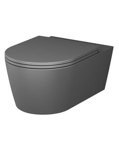 Купить C8F1701MBSC Func подвесной унитаз 54 см FlashClean с сиденьем микролифт, черн мат (c8f1701mbsc) по цене 36990 руб., в Санкт-Петебруге в интернет магазине 100-Систем, а также дургие товары AM.PM из раздела Унитазы подвесные и Унитазы