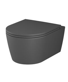 Купить C8F1700MBSC Func подвесной унитаз 49 см FlashClean с сиденьем микролифт, черн мат (c8f1700mbsc) по цене 51790 руб., в Санкт-Петебруге в интернет магазине 100-Систем, а также дургие товары AM.PM из раздела Унитазы подвесные и Унитазы