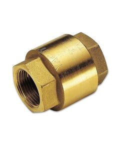Купить Клапан обратный вертикальный 2 1/2" (3500022 / 3500g2810) по цене 7153 руб., в Санкт-Петебруге в интернет магазине 100-Систем, а также дургие товары  из раздела Обратные клапаны и Запорная арматура