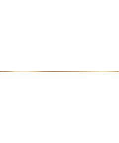 Купить Керамический бордюр DELACORA Steel Gold BW0SST09 , 12*1200*8 (50 шт в уп) (bw0sst09) по цене 690 руб., в Санкт-Петебруге в интернет магазине 100-Систем, а также дургие товары DELACORA из раздела Керамическая плитка и Напольные покрытия