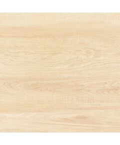 Купить Керамогранитная плитка ALTACERA Briole Wood FT3BRE11 матовый410*410*8 (11 шт в уп/74 м в пал) (ft3bre11) по цене 1390 руб., в Санкт-Петебруге в интернет магазине 100-Систем, а также дургие товары ALTACERA из раздела Керамогранит и Напольные покрытия