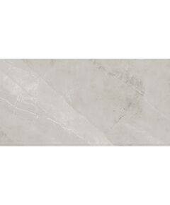 Купить Керамогранит Azario Vivyen Grey Glossy F4060821120G 60х120 см (f4060821120g) по цене 1399 руб., в Санкт-Петебруге в интернет магазине 100-Систем, а также дургие товары Azario из раздела Керамогранит и Напольные покрытия