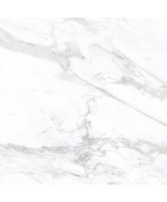 Купить Керамогранит Azario Afion Classic Glossy E102082160G 60х60 см (e102082160g) по цене 1799 руб., в Санкт-Петебруге в интернет магазине 100-Систем, а также дургие товары Azario из раздела Керамогранит и Напольные покрытия