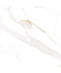 Купить Керамогранит Azario Afion Gold Glossy E104082160G 60х60 см (e104082160g) по цене 1799 руб., в Санкт-Петебруге в интернет магазине 100-Систем, а также дургие товары Azario из раздела Керамогранит и Напольные покрытия
