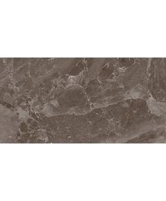 Купить Керамогранит Azario Orlando Choco Carving F4110821120C 60х120 см (f4110821120c) по цене 1950 руб., в Санкт-Петебруге в интернет магазине 100-Систем, а также дургие товары Azario из раздела Керамогранит и Напольные покрытия