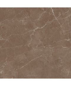Купить Керамогранит Azario Essens Choco High Glossy E112082160HG 60х60 см (e112082160hg) по цене 1246 руб., в Санкт-Петебруге в интернет магазине 100-Систем, а также дургие товары Azario из раздела Керамогранит и Напольные покрытия