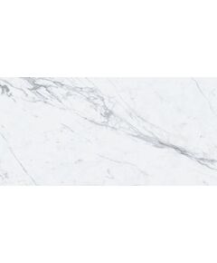 Купить Керамический гранит AZARIO STATUARIO EXTRA 80х160 Glossy (p231123006g) по цене 2250 руб., в Санкт-Петебруге в интернет магазине 100-Систем, а также дургие товары Azario из раздела Керамогранит и Напольные покрытия