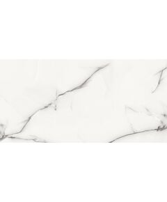 Купить Керамогранит Azario Onyx Grey Glossy P3211112138G 60х120 (p3211112138g) по цене 1799 руб., в Санкт-Петебруге в интернет магазине 100-Систем, а также дургие товары Azario из раздела Керамогранит и Напольные покрытия