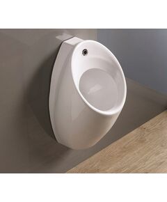 Купить Писсуар CeramaLux X560P с сенсорным механизмом смыва (x560p) по цене 33600 руб., в Санкт-Петебруге в интернет магазине 100-Систем, а также дургие товары CeramaLux из раздела Писсуары и Биде и писсуары