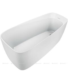 Купить Акриловая ванна Aquanet Family Trend 170x78 90778 Matt Finish (90778-mw) по цене 137080 руб., в Санкт-Петебруге в интернет магазине 100-Систем, а также дургие товары AQUANET из раздела Акриловые ванны и Ванны