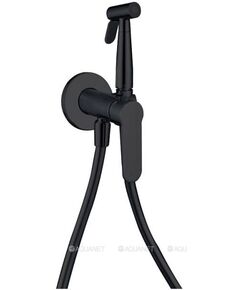 Купить Смеситель с гигиеническим душем Aquanet Passion AF300-52B (с внутренней частью) (af300-52b) по цене 9220 руб., в Санкт-Петебруге в интернет магазине 100-Систем, а также дургие товары AQUANET из раздела Гигиенический душ со смесителем и Гигиенический душ