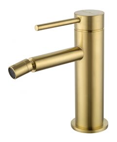 Купить Смеситель для биде WONZON & WOGHAND STICK, Брашированное золото (WW-88339017-BG) (ww-88339017-bg) по цене 14616 руб., в Санкт-Петебруге в интернет магазине 100-Систем, а также дургие товары WONZON & WOGHAND из раздела Смесители для биде и Смесители
