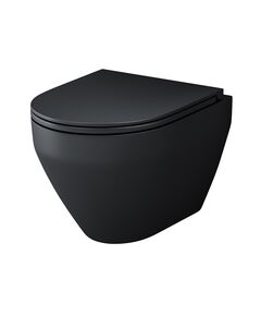 Купить Подвесной унитаз AM.PM FlashClean с сиденьем микролифт Spirit V2.0 C701700MBSC (c701700mbsc) по цене 39990 руб., в Санкт-Петебруге в интернет магазине 100-Систем, а также дургие товары AM.PM из раздела Унитазы подвесные и Унитазы