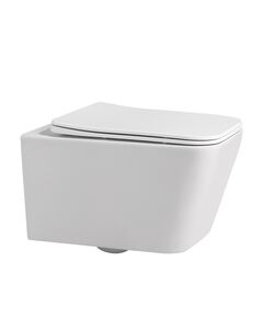 Купить Унитаз подвесной Размер: 53x35,5x36 см Цвет: белый матовый Материал: высококачественная керамика устойчивая к царапинам, температура обжига более 1200°C - безободковый слив - антигрязевая поверхность EasyClean - жесткое быстросъемное сиденье из дюропласта (ac1201mw) по цене 22100 руб., в Санкт-Петебруге в интернет магазине 100-Систем, а также дургие товары ABBER из раздела Унитазы подвесные и Унитазы