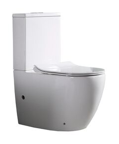 Купить CeramaLux NS 2176 Унитаз напольный (ns-2176) по цене 21500 руб., в Санкт-Петебруге в интернет магазине 100-Систем, а также дургие товары CeramaLux из раздела Горизонтальный выпуск и Унитазы-компакт с бачком
