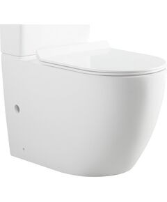 Купить Чаша напольного унитаза Aquanet Rimless Cetus-C1 BL-102N-TPT (cetus-c1) по цене 21490 руб., в Санкт-Петебруге в интернет магазине 100-Систем, а также дургие товары AQUANET из раздела Унитазы приставные и Унитазы