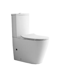 Купить CeramaLux NS 2178 Унитаз напольный (NS-2178) по цене 21500 руб., в Санкт-Петебруге в интернет магазине 100-Систем, а также дургие товары CeramaLux из раздела Горизонтальный выпуск и Унитазы-компакт с бачком