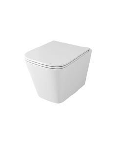 Купить Унитаз подвесной безободковый OWL Vatter Ruta-H mini (Slim) с сиденьем DP микролифт (owlt190403s) по цене 9990 руб., в Санкт-Петебруге в интернет магазине 100-Систем, а также дургие товары  из раздела Унитазы подвесные и Унитазы