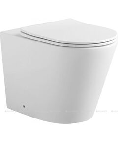 Купить Унитаз приставной Aquanet Rimless Atago 2.0 F LX-1906 (atago 2.0 f) по цене 21560 руб., в Санкт-Петебруге в интернет магазине 100-Систем, а также дургие товары AQUANET из раздела Унитазы приставные и Унитазы
