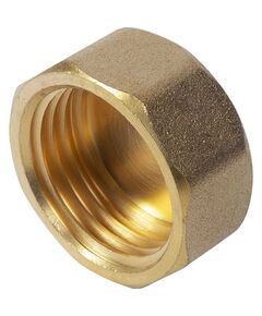 Купить Заглушка 1 1/2"В (латунь) (1500327 / 1880G0008) по цене 1312 руб., в Санкт-Петебруге в интернет магазине 100-Систем, а также дургие товары  из раздела Заглушки и Латунные фитинги