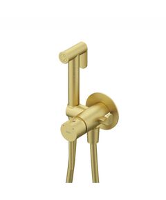 Купить Гигиенический душ со смесителем IDDIS Axes 005MGR0i08 Золото матовое (005mgr0i08) по цене 14990 руб., в Санкт-Петебруге в интернет магазине 100-Систем, а также дургие товары IDDIS из раздела Гигиенический душ со смесителем и Гигиенический душ