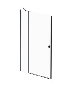 Купить Душевая дверь 120x190 AM.PM Sunny W87G-120-1P-BT прозрачное стекло, профиль черный матовый (w87g-120-1p-bt) по цене 26490 руб., в Санкт-Петебруге в интернет магазине 100-Систем, а также дургие товары AM.PM из раздела Душевые двери и Душевые двери, перегородки