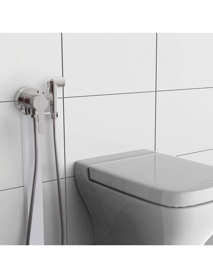 Купить Накладной гигиенический душ Paini Aosta внешний монтаж (92cr304km) по цене 6600 руб., в Санкт-Петебруге в интернет магазине 100-Систем, а также дургие товары Paini из раздела Гигиенический душ со смесителем и Гигиенический душ