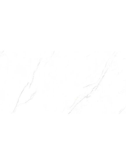 Купить Керамический гранит AZARIO VALENCIA WHITE 80х160 Matt (p231123009m) по цене 2691 руб., в Санкт-Петебруге в интернет магазине 100-Систем, а также дургие товары Azario из раздела Керамогранит и Напольные покрытия
