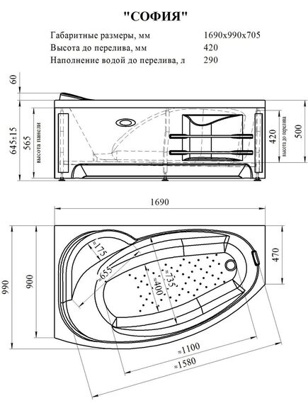 Купить Гидромассажная ванна София (1690х990, левосторонняя), фронтальная панель, полотенцедержатель, каркас, слив-перелив, система гидромассажа (Баланс хром) (2-76-2-1-0-223) по цене 112638 руб., в Санкт-Петебруге в интернет магазине 100-Систем, а также дургие товары RADOMIR из раздела Гидромассажные ванны и Ванны