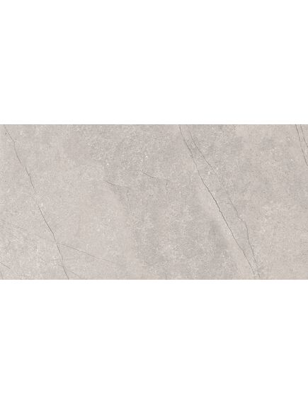 Купить Керамогранит Azario Fossil Grey Matt E4040821120M 60х120 см (e4040821120m) по цене 2199 руб., в Санкт-Петебруге в интернет магазине 100-Систем, а также дургие товары Azario из раздела Керамогранит и Напольные покрытия