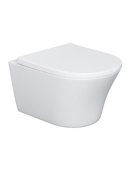 Купить DX35C1700SC Skyline унитаз подвесной безободковый с сиденьем микролифт (dx35c1700sc) по цене 38990 руб., в Санкт-Петебруге в интернет магазине 100-Систем, а также дургие товары DAMIXA из раздела Унитазы подвесные и Унитазы