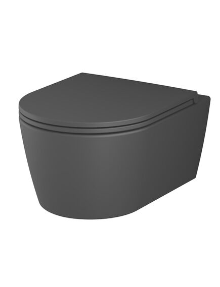 Купить C8F1700MBSC Func подвесной унитаз 49 см FlashClean с сиденьем микролифт, черн мат (c8f1700mbsc) по цене 36990 руб., в Санкт-Петебруге в интернет магазине 100-Систем, а также дургие товары AM.PM из раздела Унитазы подвесные и Унитазы