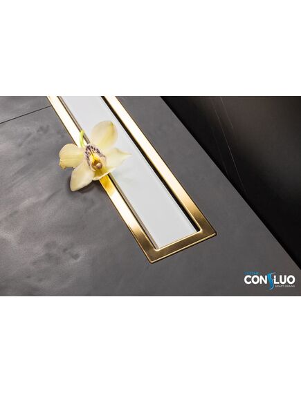Купить Душевой лоток Pestan Confluo Premium Line 300 White Glass Gold  (13100119) по цене 31080 руб., в Санкт-Петебруге в интернет магазине 100-Систем, а также дургие товары Pestan из раздела Лотки и Душевые лотки и душевые трапы
