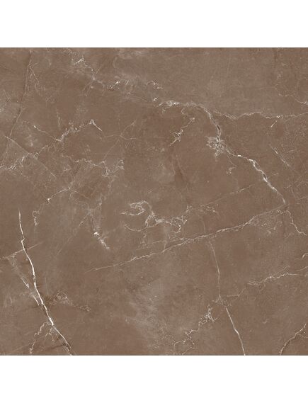 Купить Керамогранит Azario Essens Choco High Glossy E112082160HG 60х60 см (e112082160hg) по цене 1246 руб., в Санкт-Петебруге в интернет магазине 100-Систем, а также дургие товары Azario из раздела Керамогранит и Напольные покрытия
